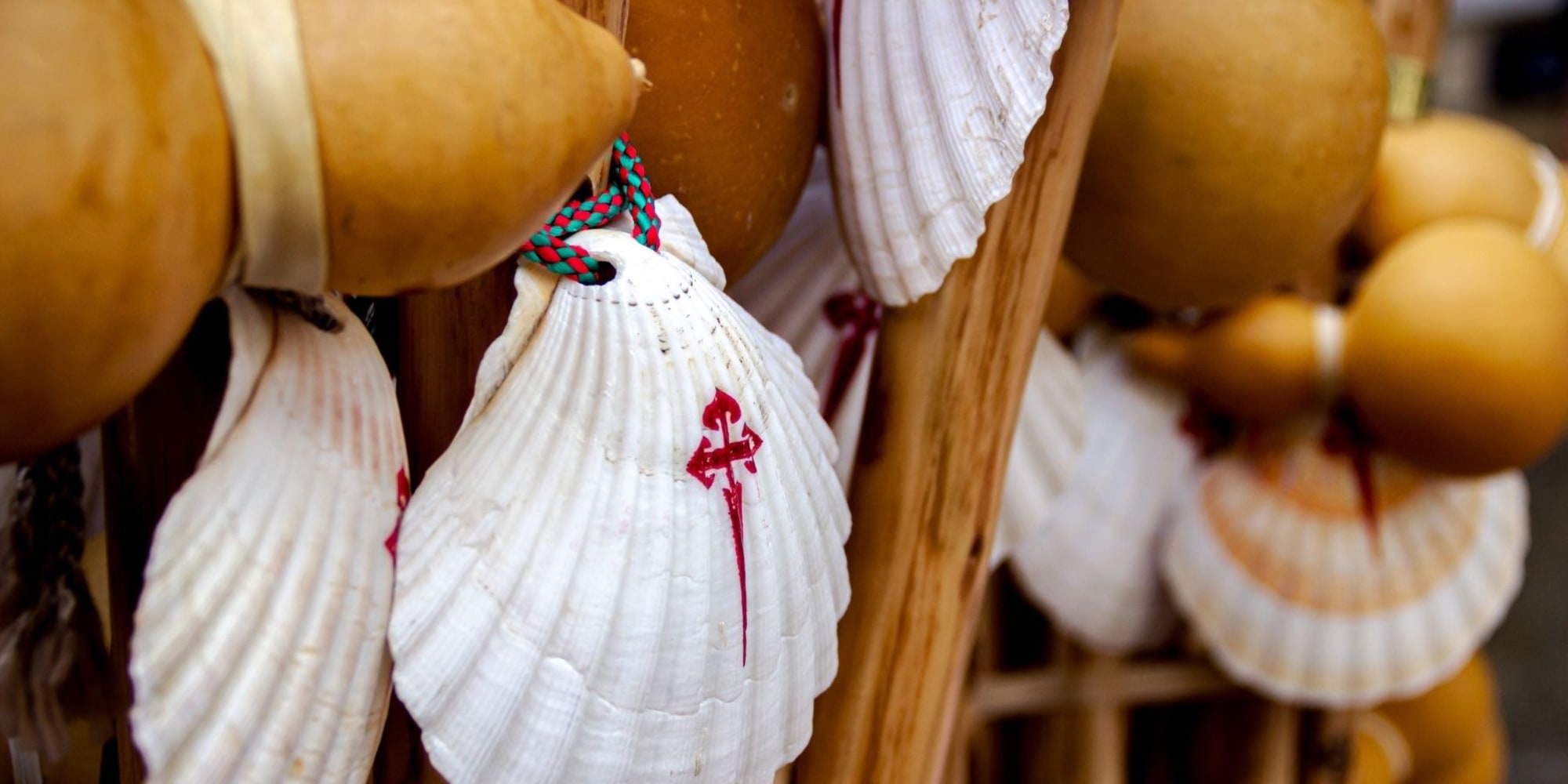 shells mark the Camino de Santiago trail